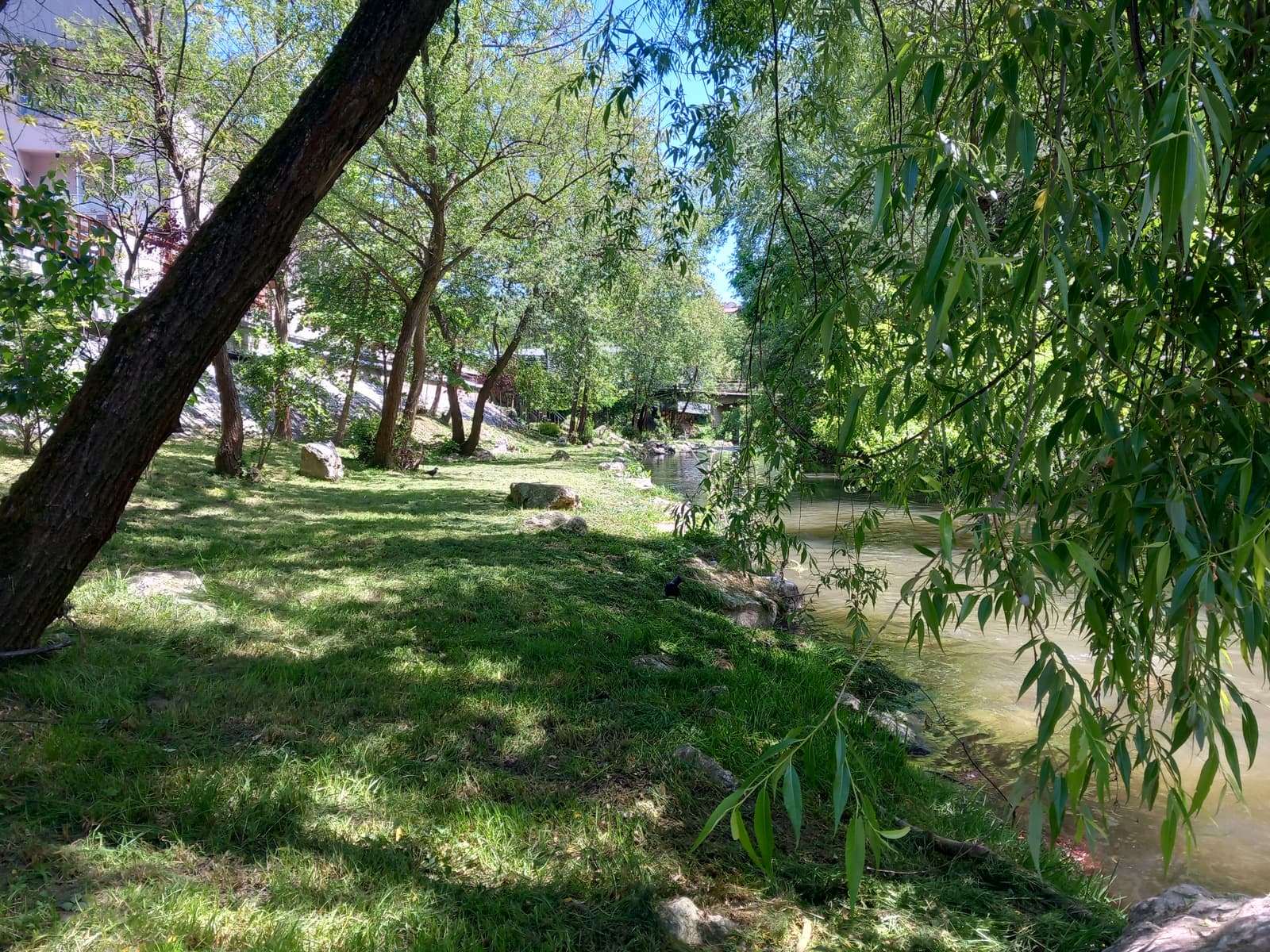 Panoramska fotografija reke Đetinje između Užica i Sevojna