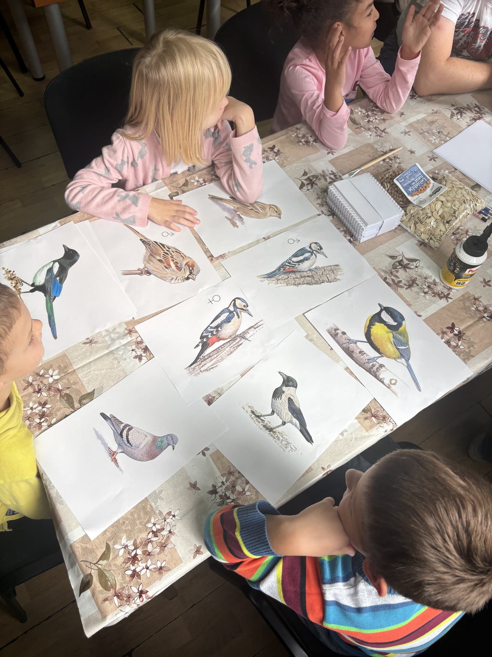 Birds of the Đetinja: A Creative Biodiversity Workshop with Children and Members of the Muscular Dystrophy Association